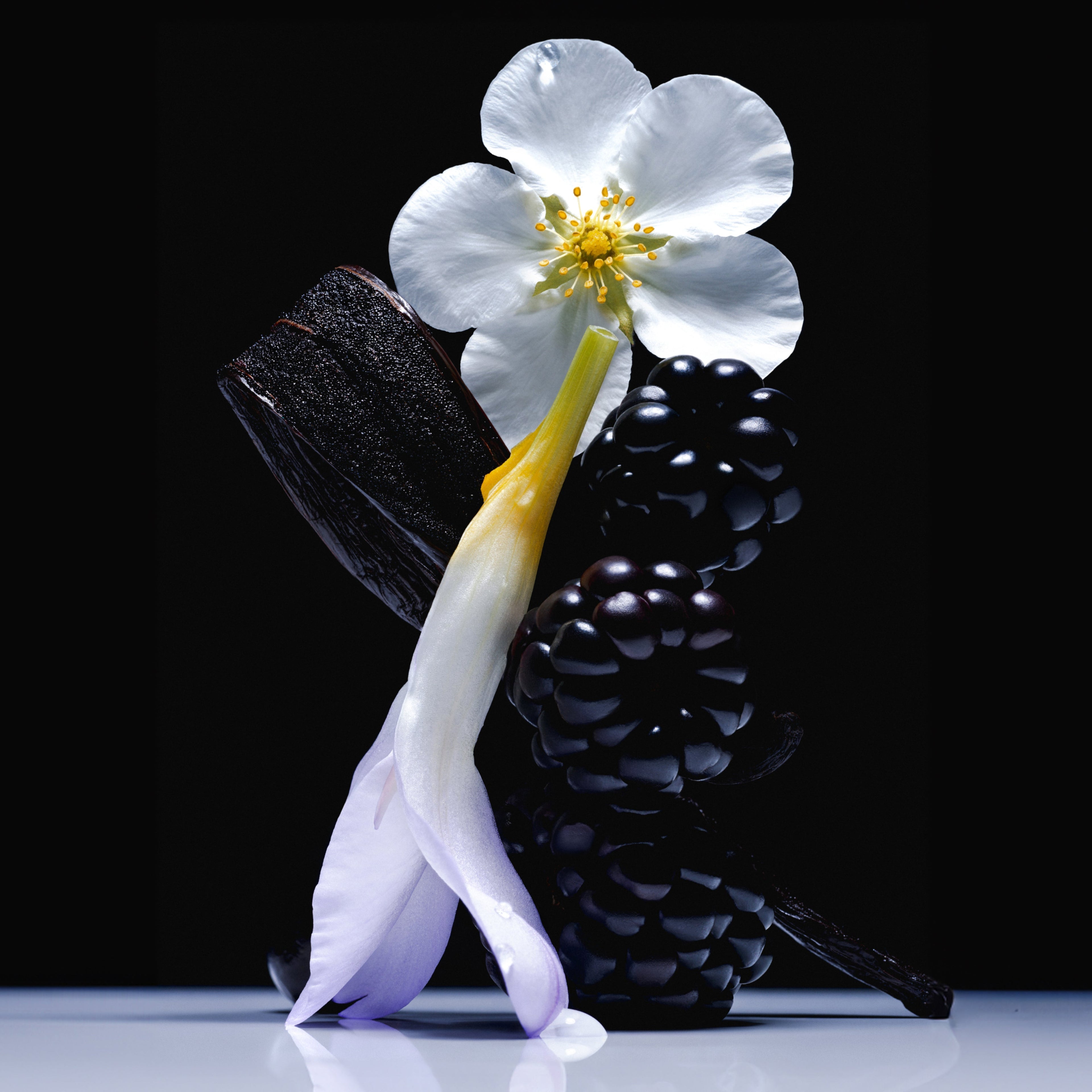 Vanilla Blackberry - Travel Size Body Mist